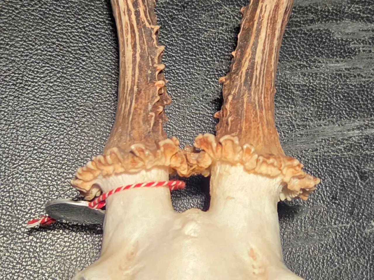 Billede 6 - Bukkeopsats med emblem. 