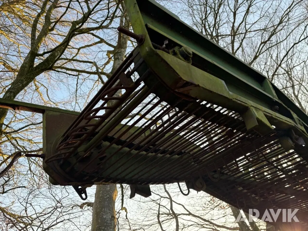 Billede 9 - Ruerenser Thyregods