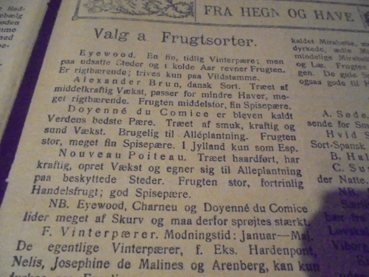 Billede 6 - 6 numre af Husmandshjemmet – magasin fra 1917/18