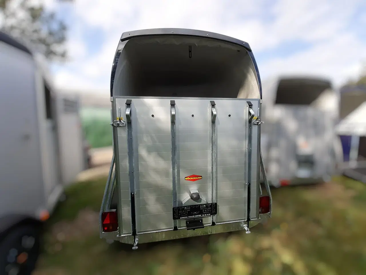 Billede 6 - Böckmann Champion Esprit (Udstilling)