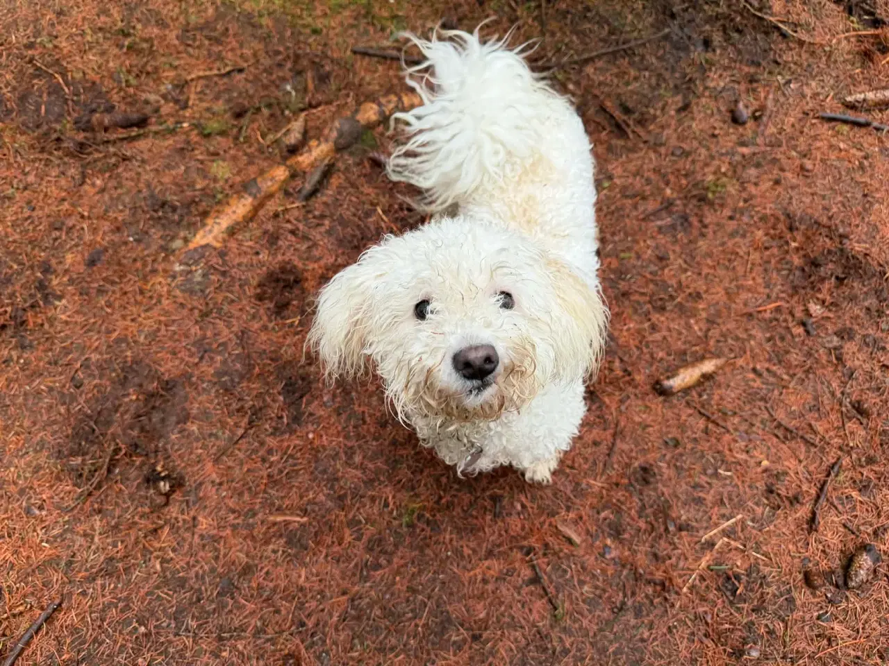 Billede 1 - Ludvig på 11 mdr 