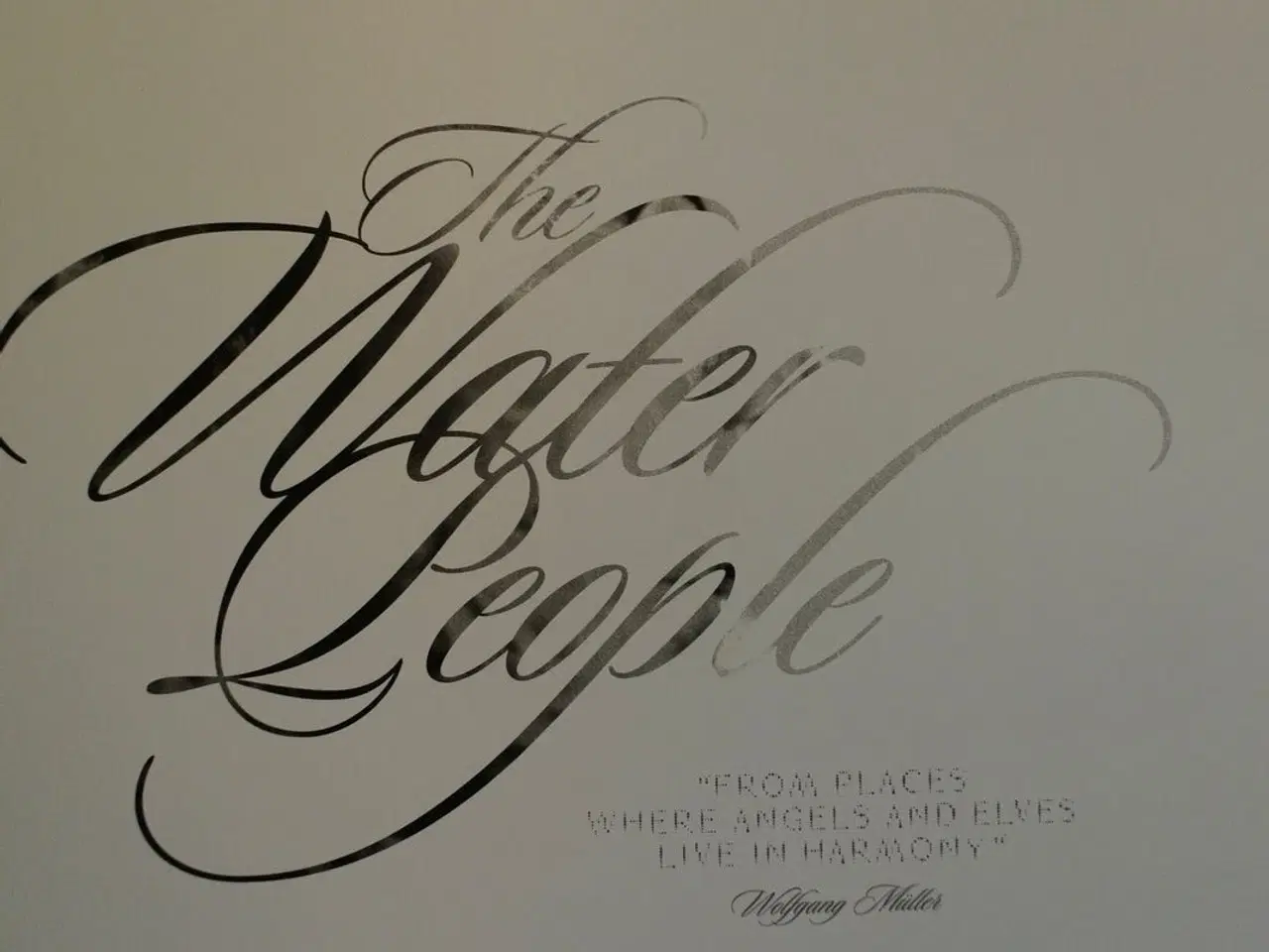Billede 2 - the water people - dvd mangler, by brian griffin, 