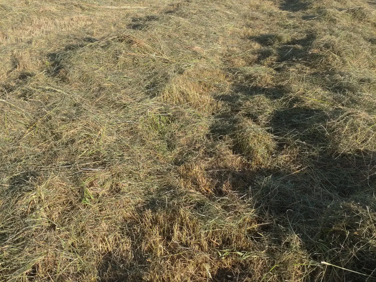 Billede 2 - hø i minibig