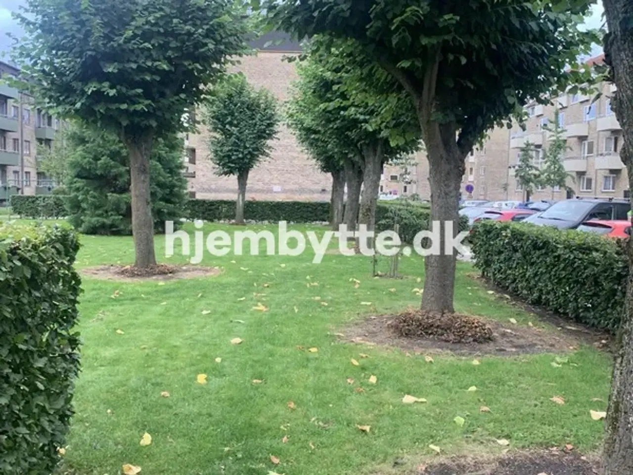 Billede 17 - Hjembytte - Bobakken