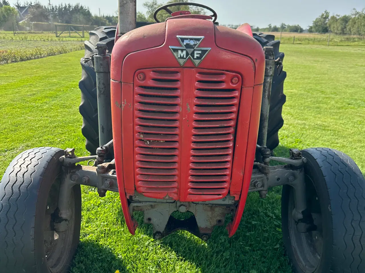 Billede 3 - Massey Ferguson 35