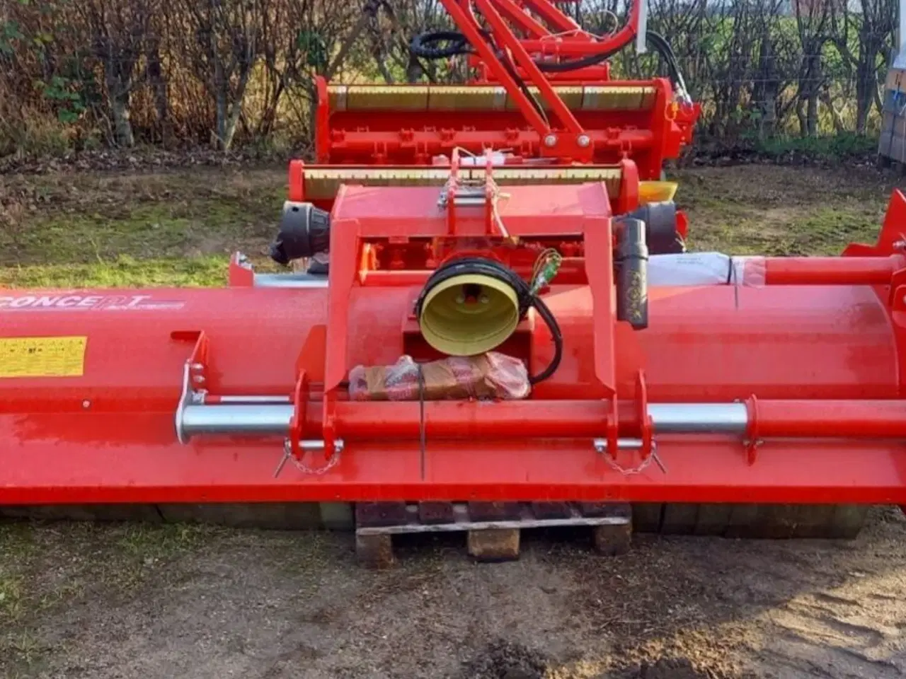 Billede 2 - Concept Perugini KX300