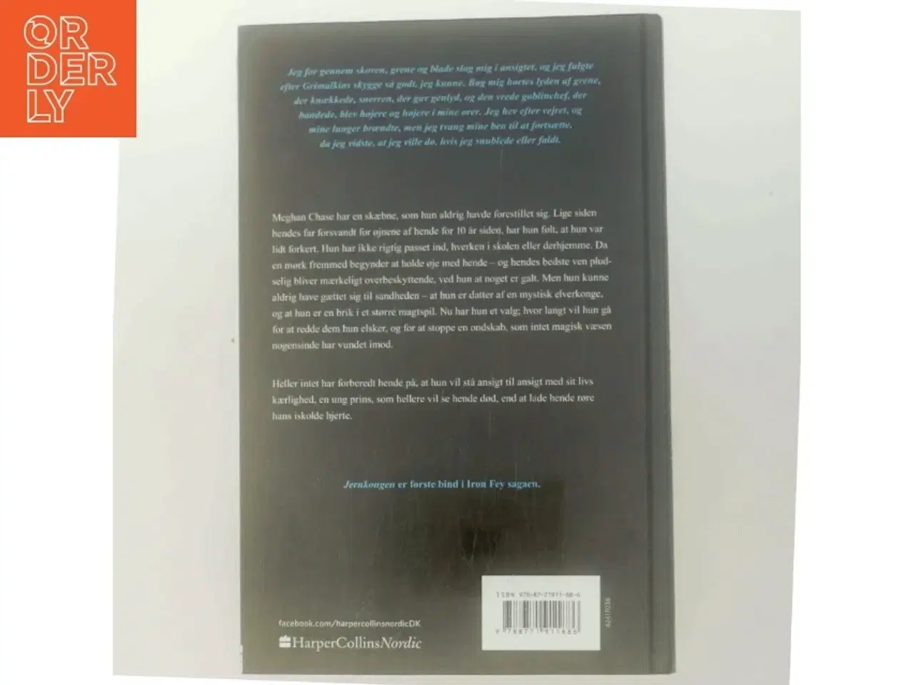 Billede 3 - Jernkongen af Julie Kagawa (Bog 1. Bind i serien)