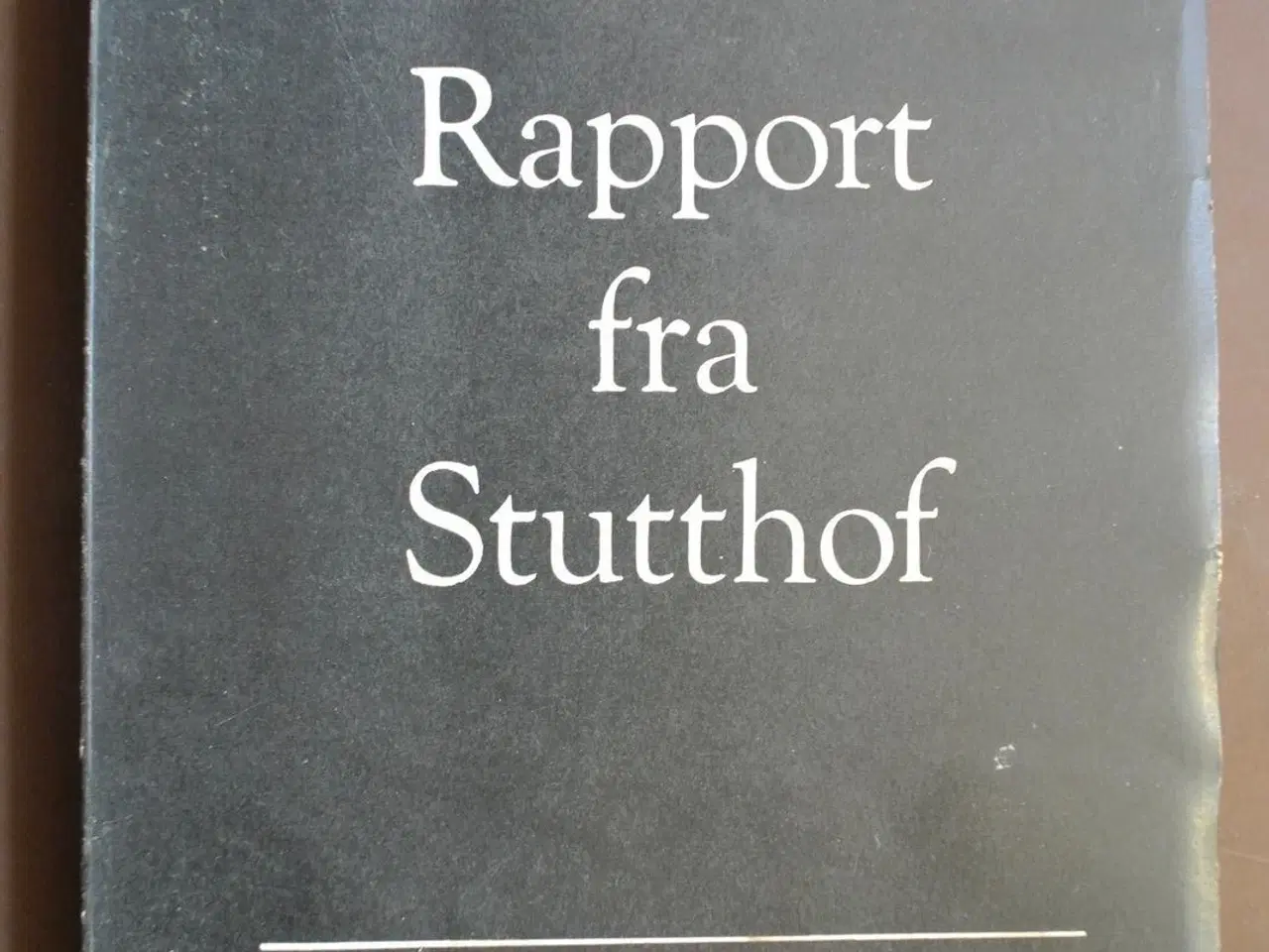 Billede 1 - rapport fra stutthof, af martin nielsen, emne: his