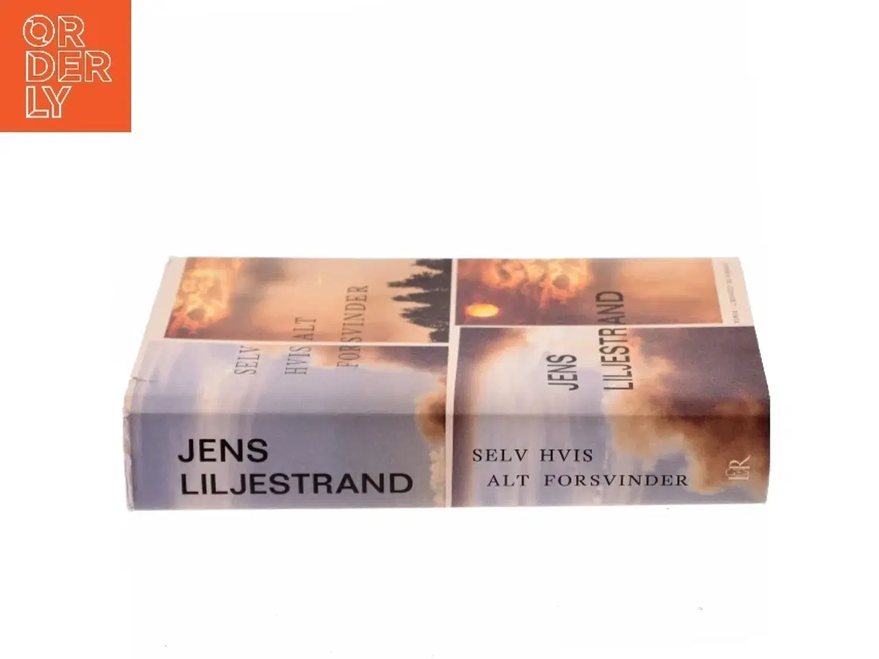 Billede 2 - Selv hvis alt forsvinder af Jens Liljestrand (f. 1974) (Bog)