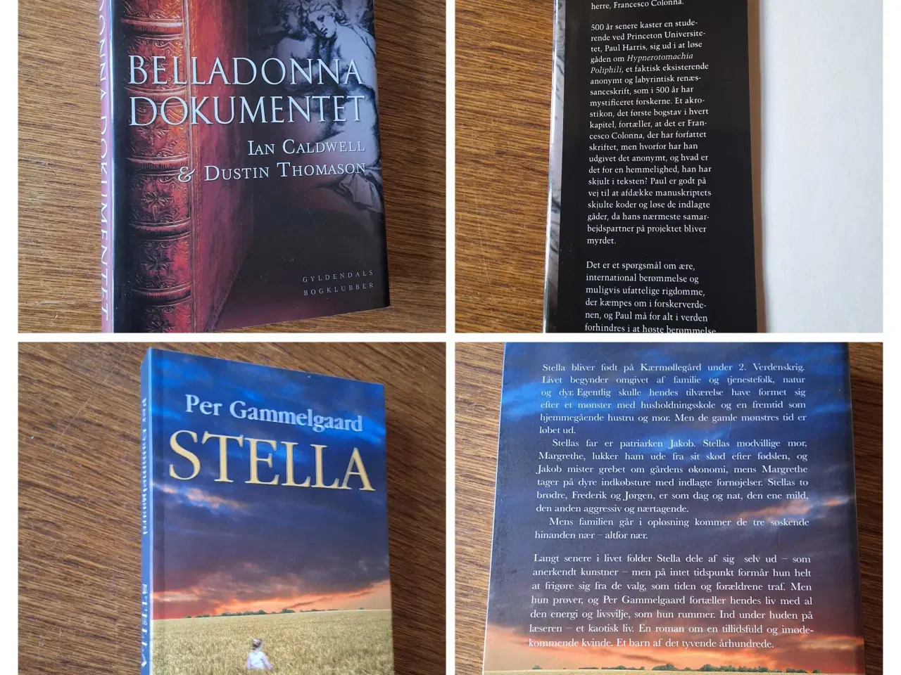 Billede 3 - BILLIGE BRUGTE BØGER, 5kr/stk