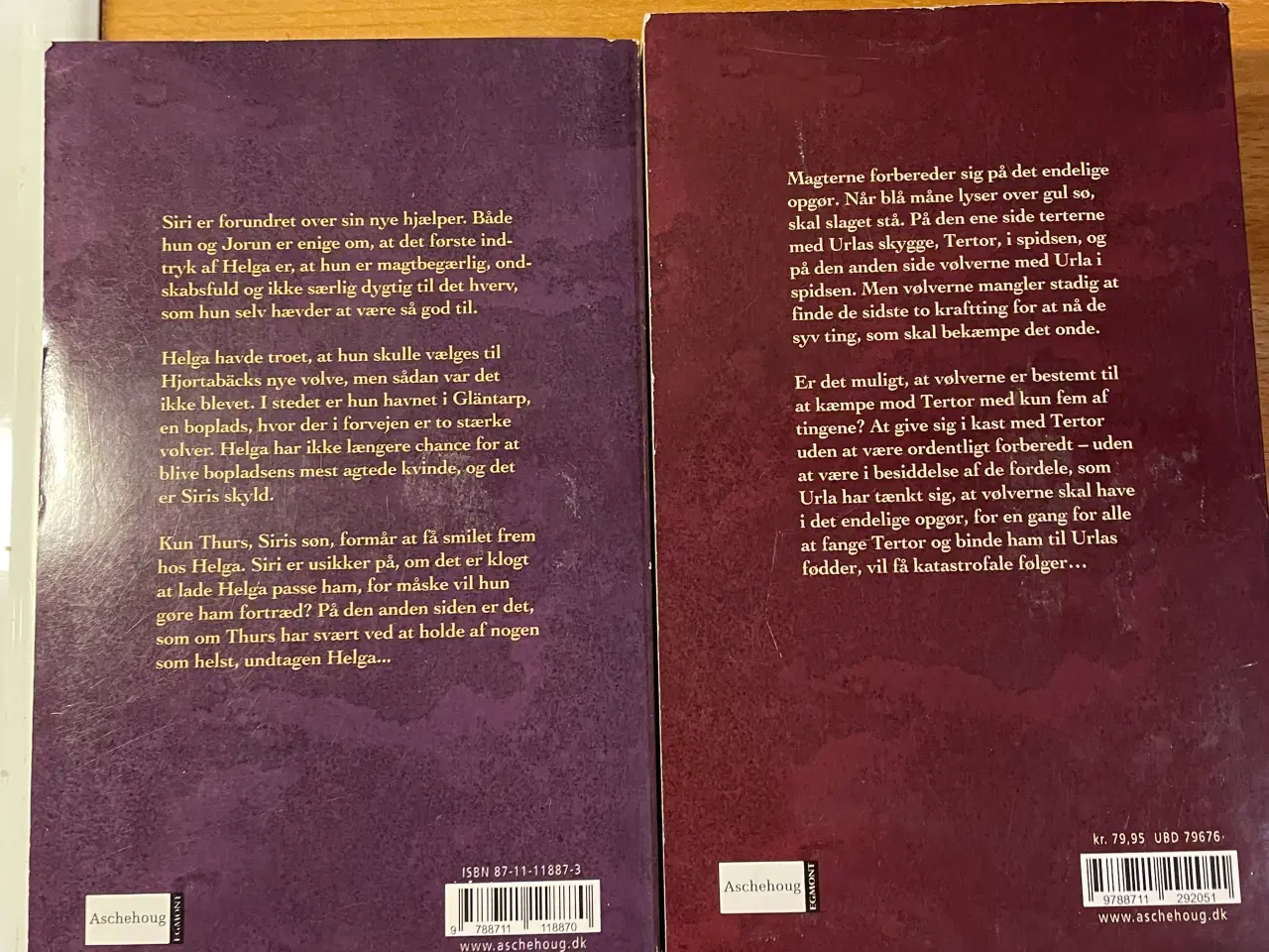 Billede 4 - Saga Borg Jarastavens Vandring