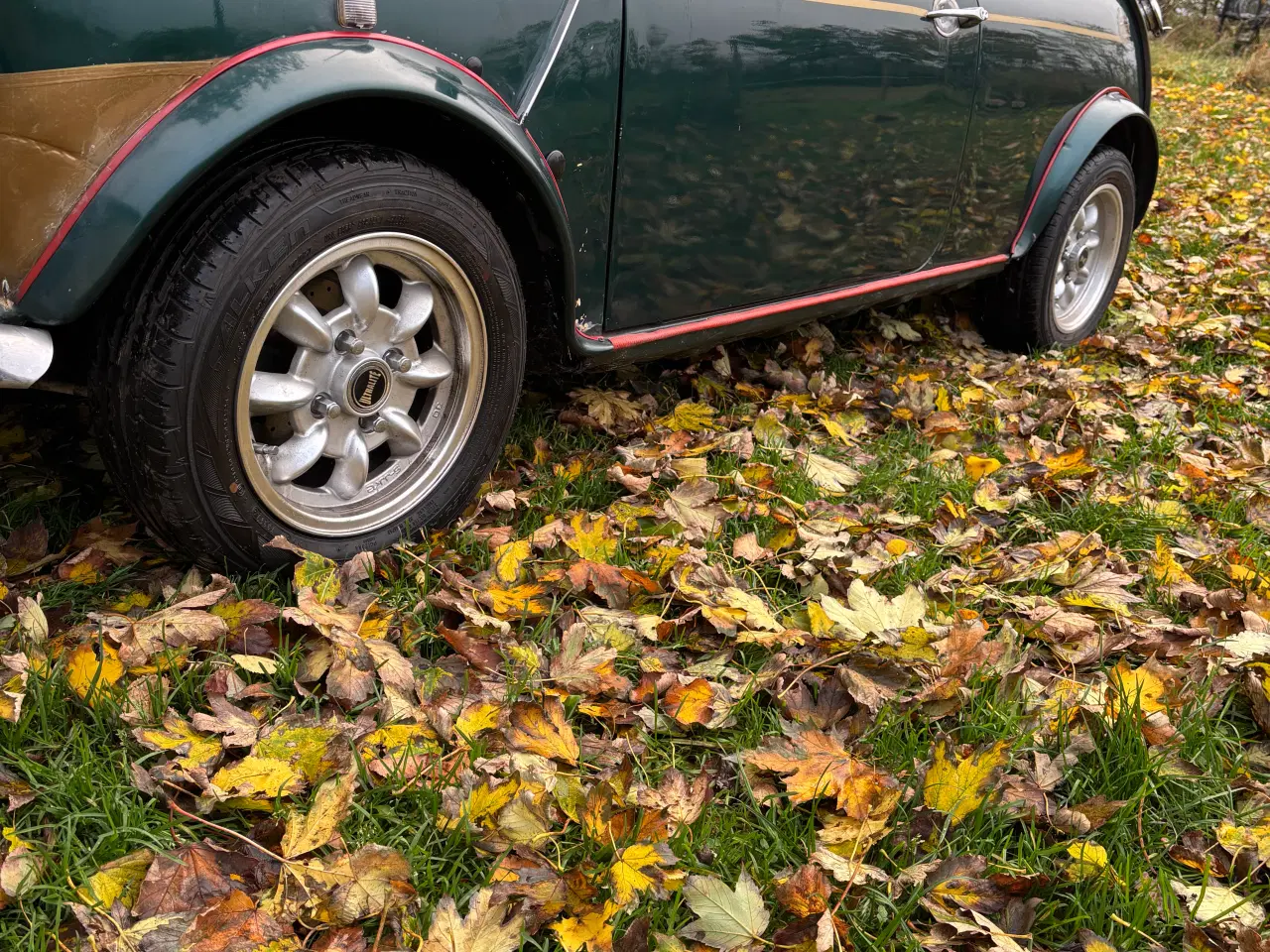 Billede 17 - Morris Mascot