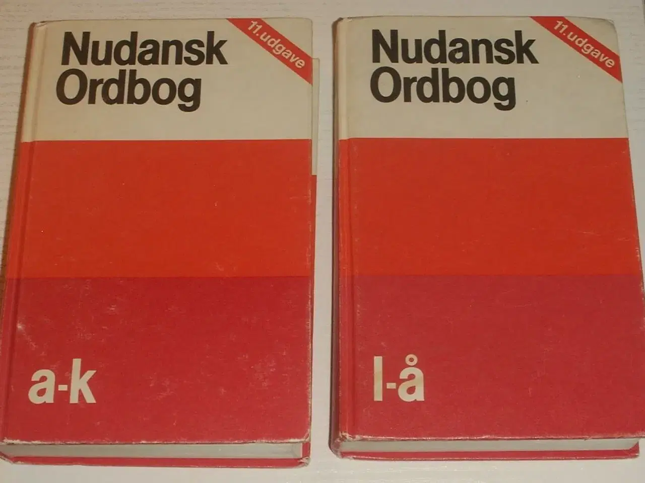 Billede 1 - Nudansk Ordbog