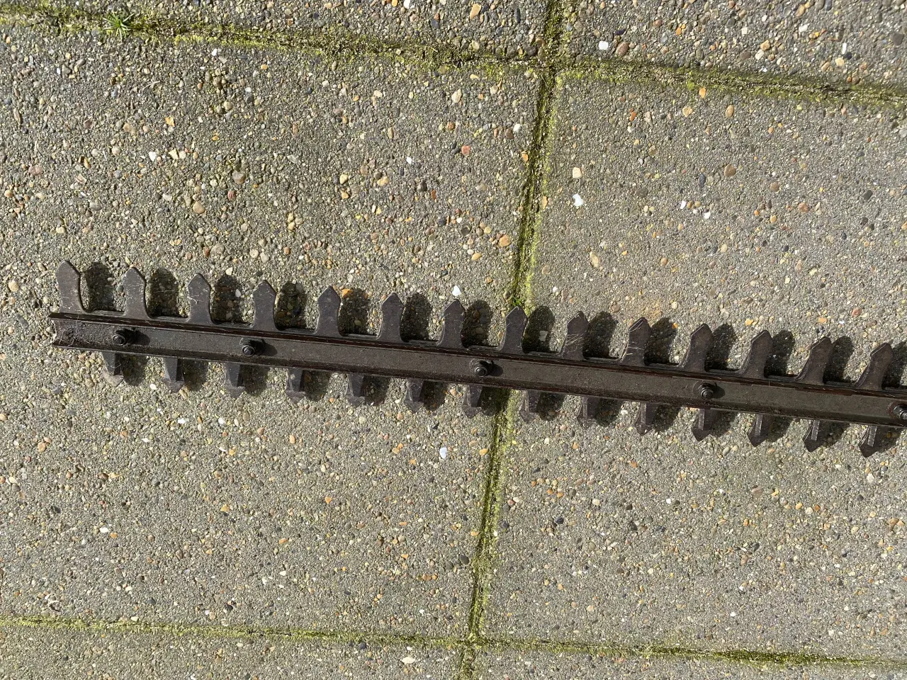 Billede 5 - Texas benzin hækkeklipper