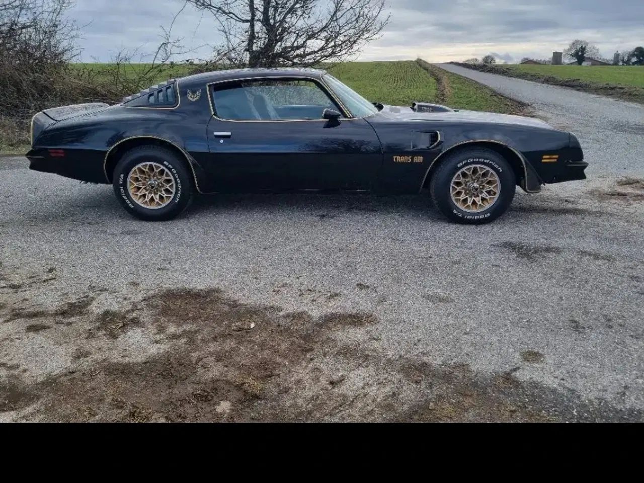 Billede 16 - Pontiac trans am