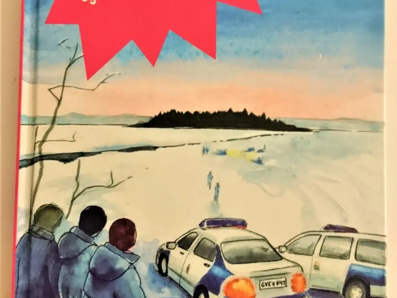 Billede 1 - Klubben og drengen som forsvandt af Lena Hultgren