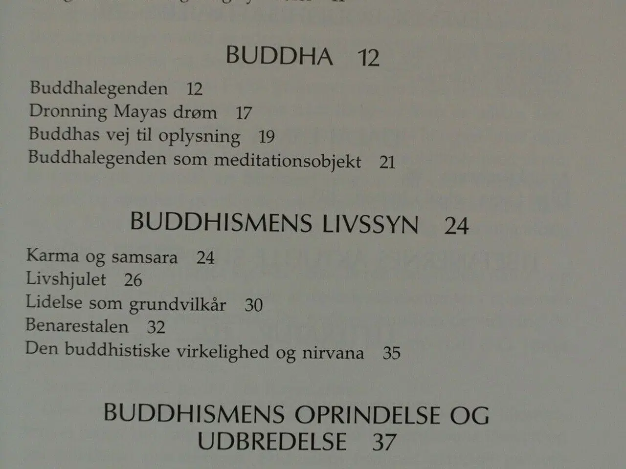 Billede 2 - buddhas lære - og den tibetanske buddhisme, af len