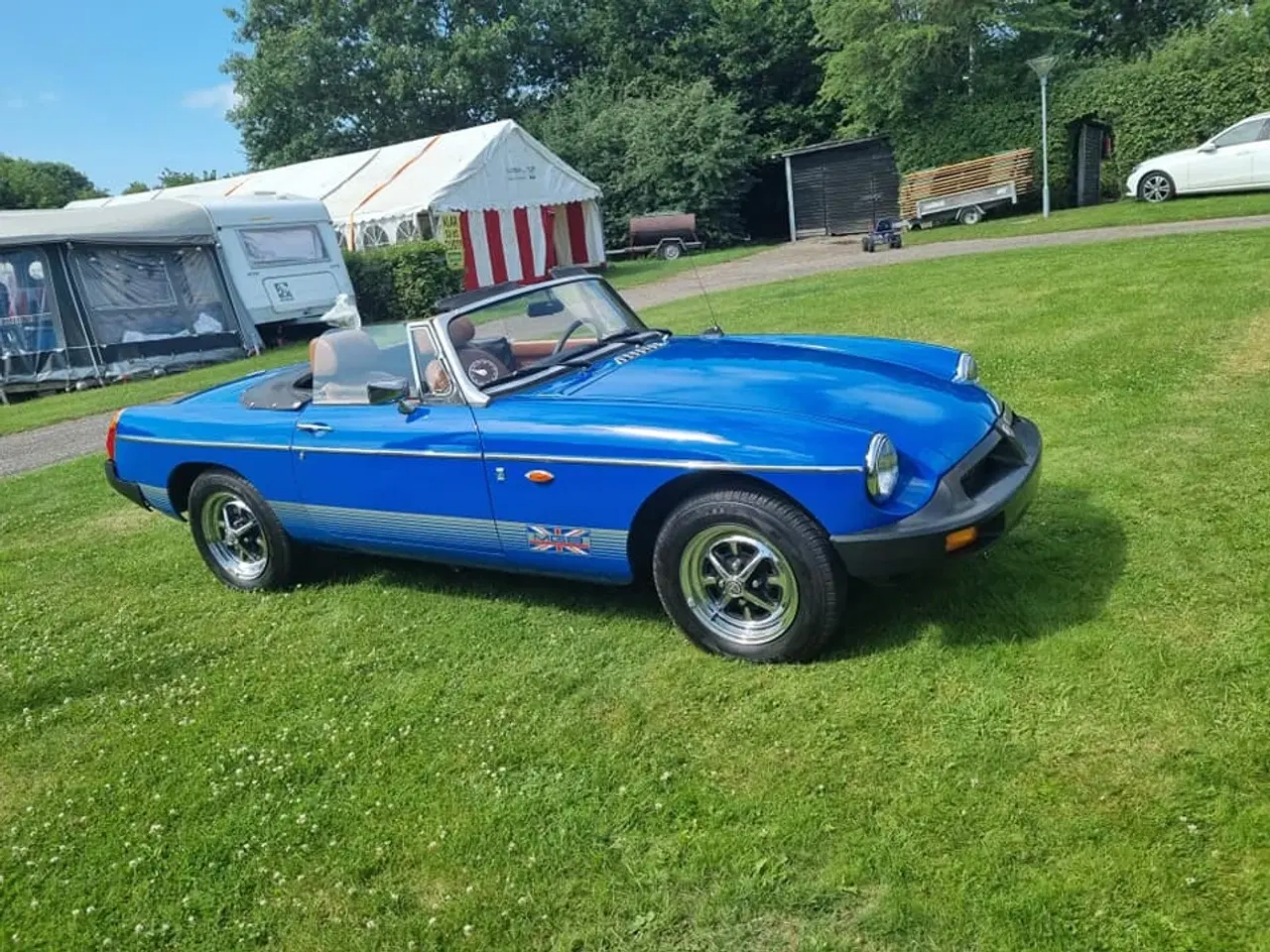 Billede 3 - mgb rooster