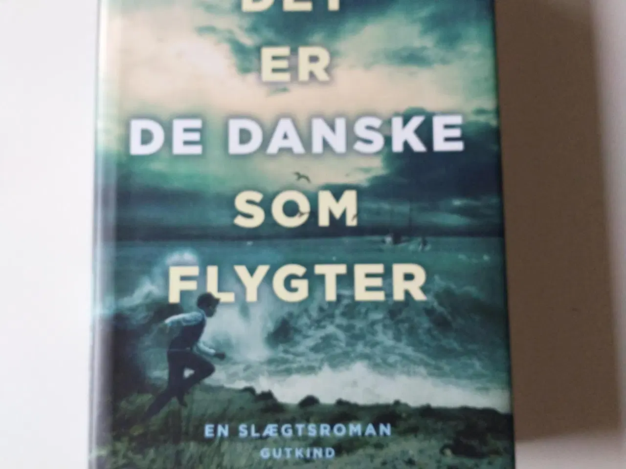 Billede 1 - Det er de danske som flygter. Af L. Ringhof & E. V