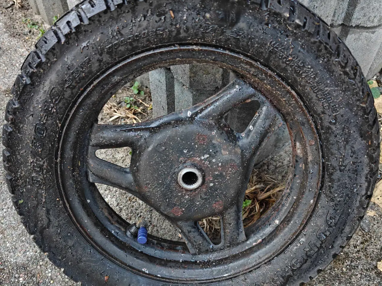 Billede 1 - PGO Comet. Originalt Bagfælg 