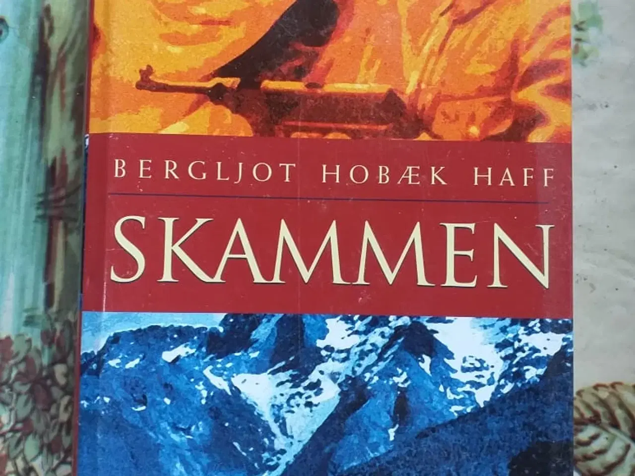 Billede 1 - Titel Skammen