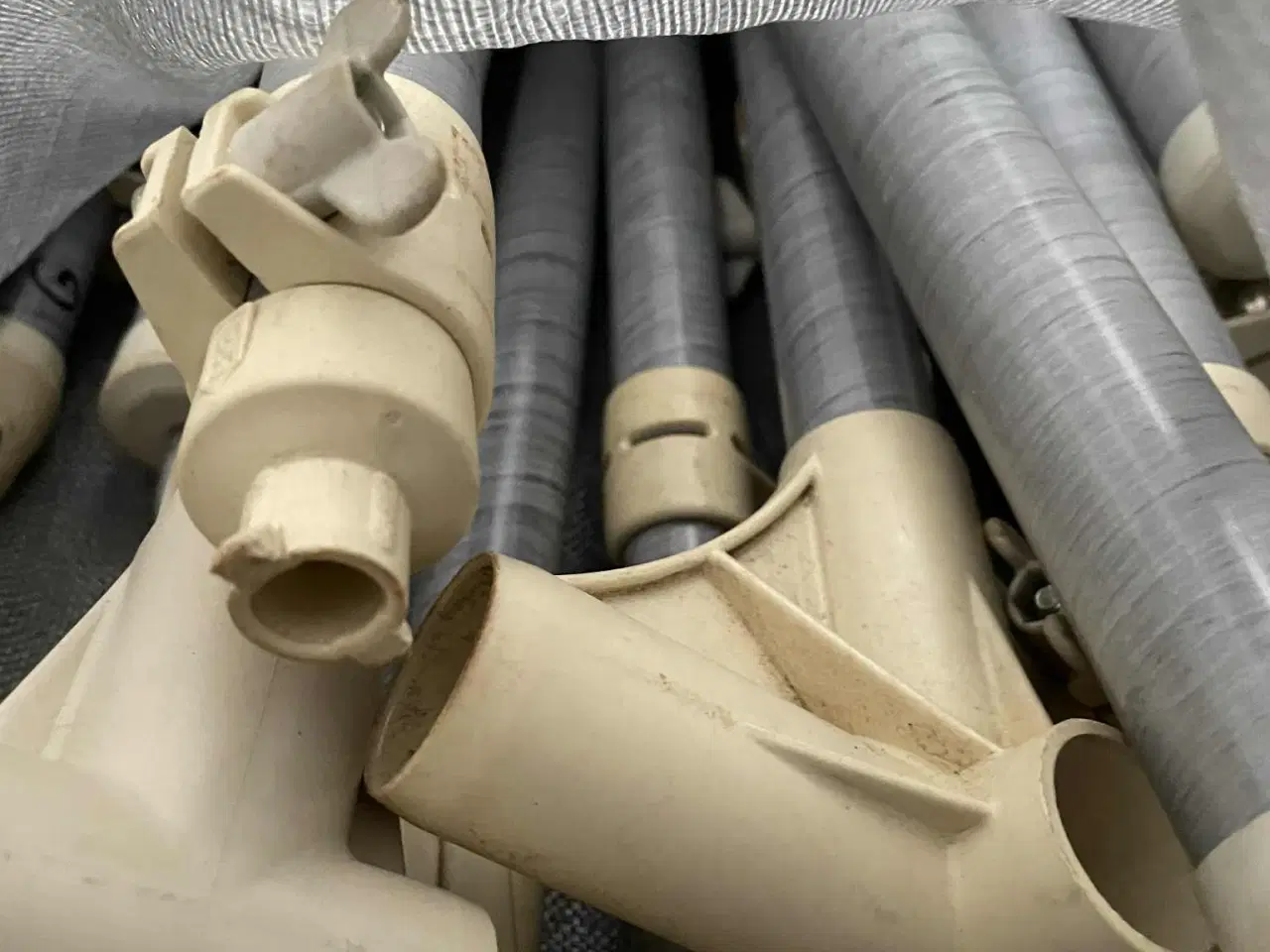 Billede 3 - Isabella Forty