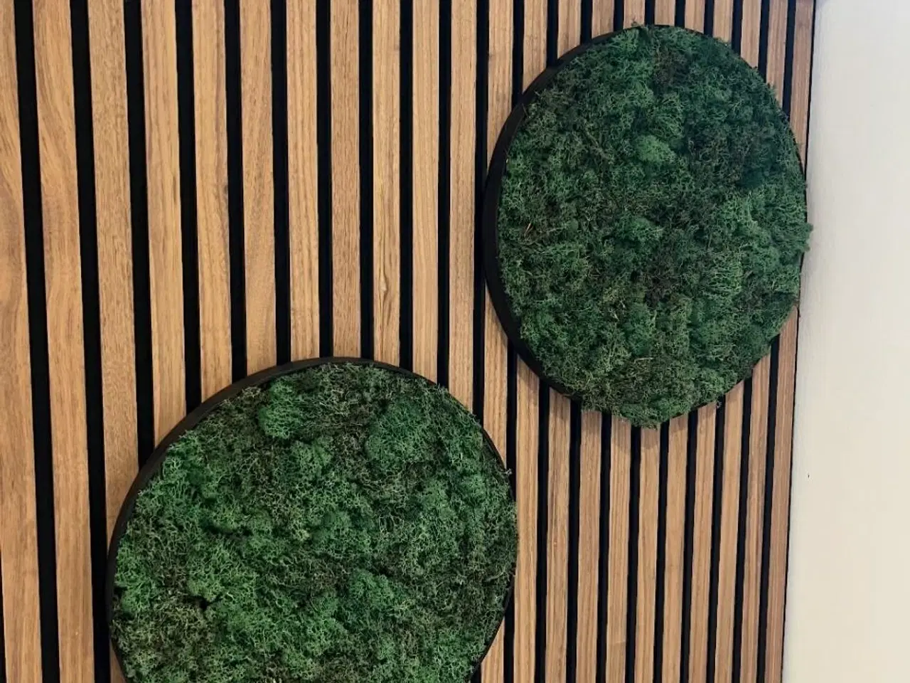 Billede 16 - Mos billeder vi laver 