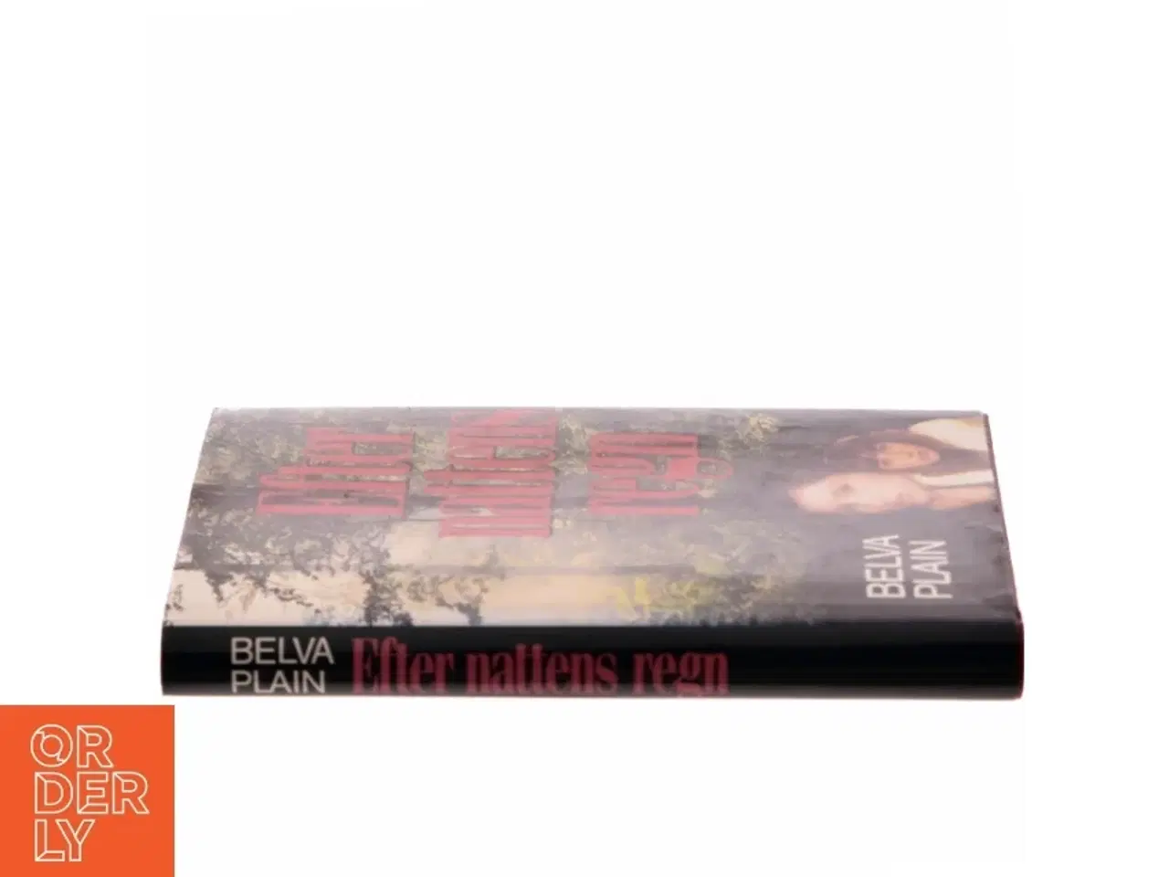 Billede 2 - Efter nattens regn af Belva Plain