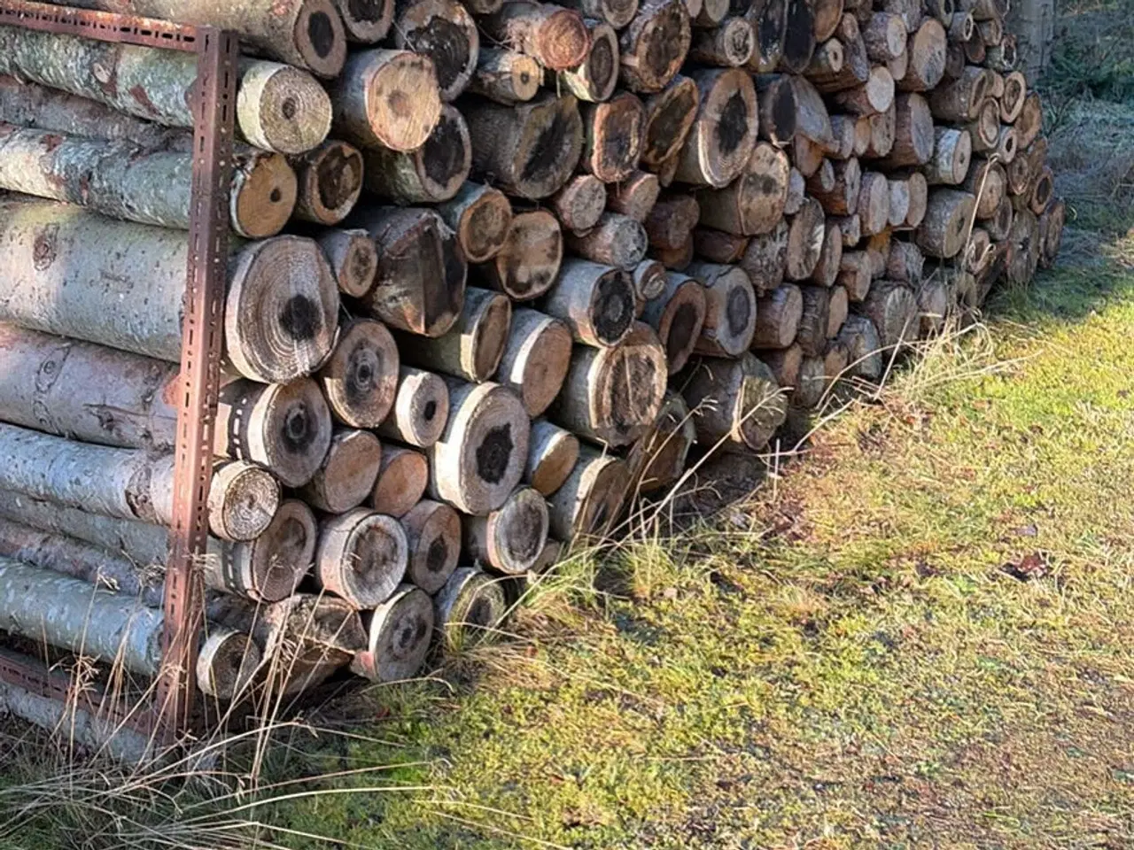 Billede 1 - Brænde gran