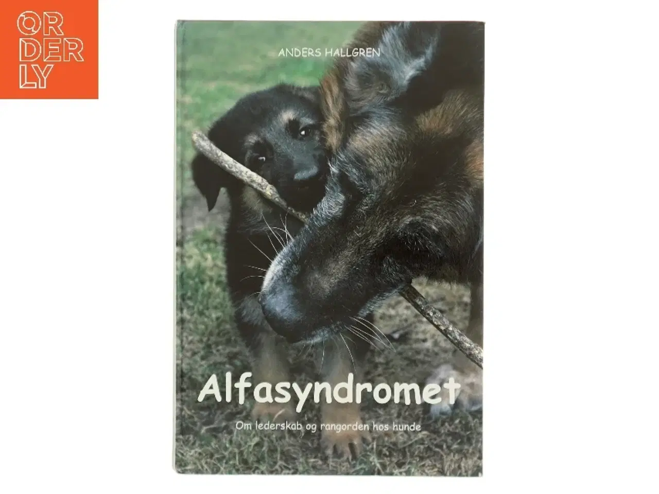 Billede 1 - Alfasyndromet : om lederskab og rangorden hos hunde af Anders Hallgren (Bog)