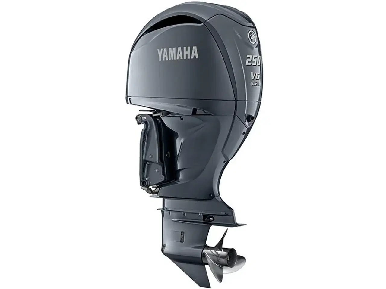 Billede 1 - Yamaha F250XSB