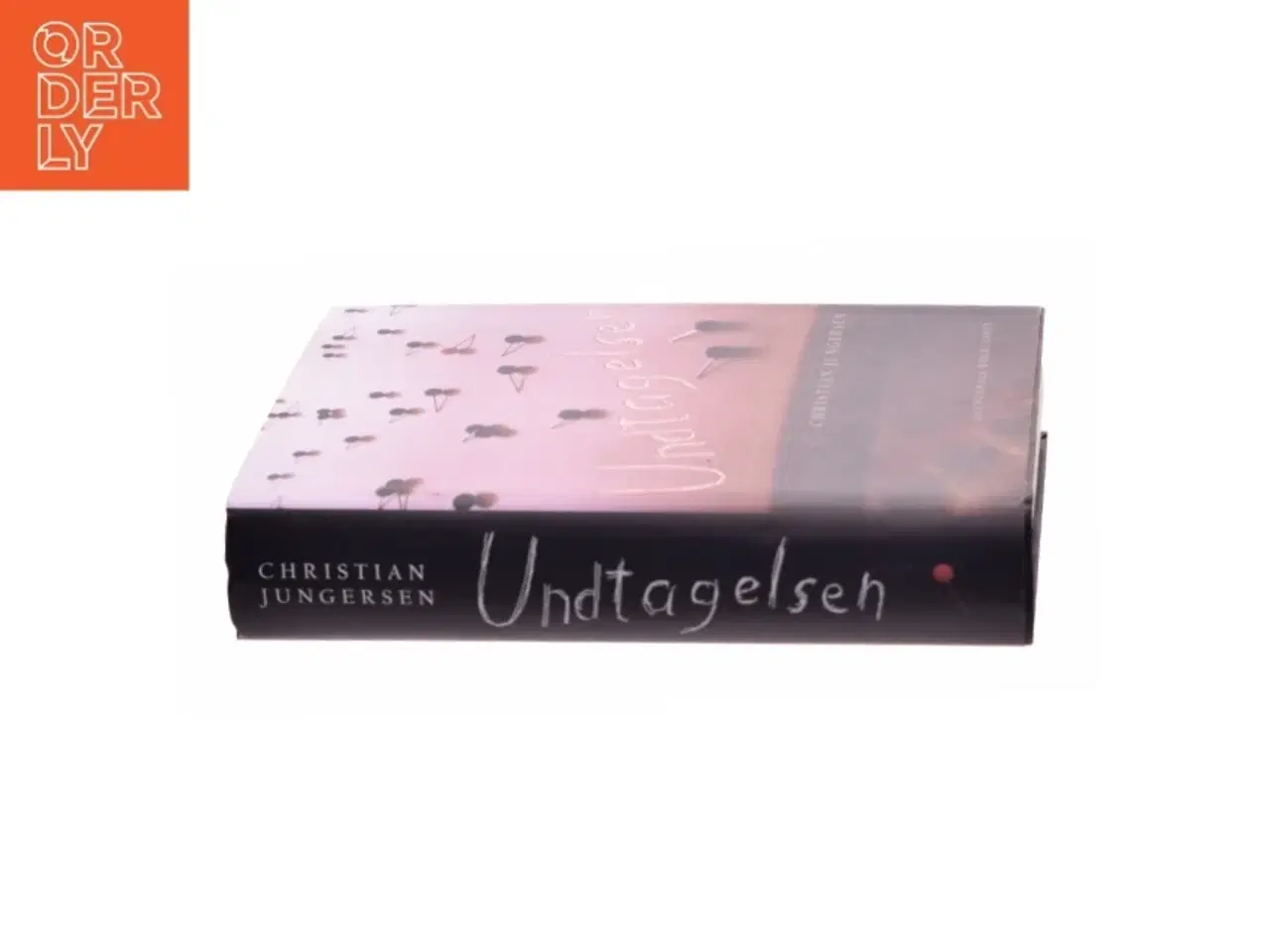 Billede 2 - Undtagelsen : roman af Christian Jungersen (Bog)