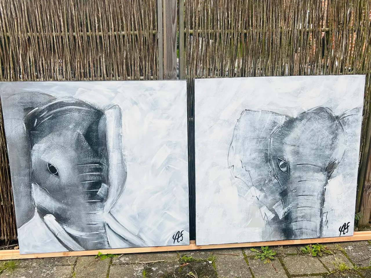 Billede 3 - Maleri af elefant 