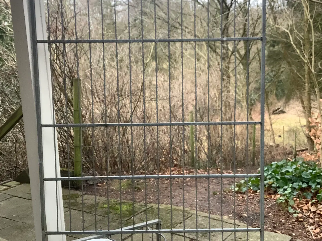 Billede 2 - Hundegård til udvendig brug