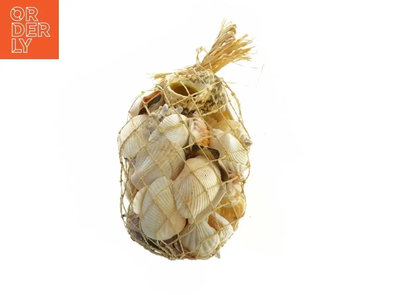 Billede 2 - Dekorative muslingeskaller i net