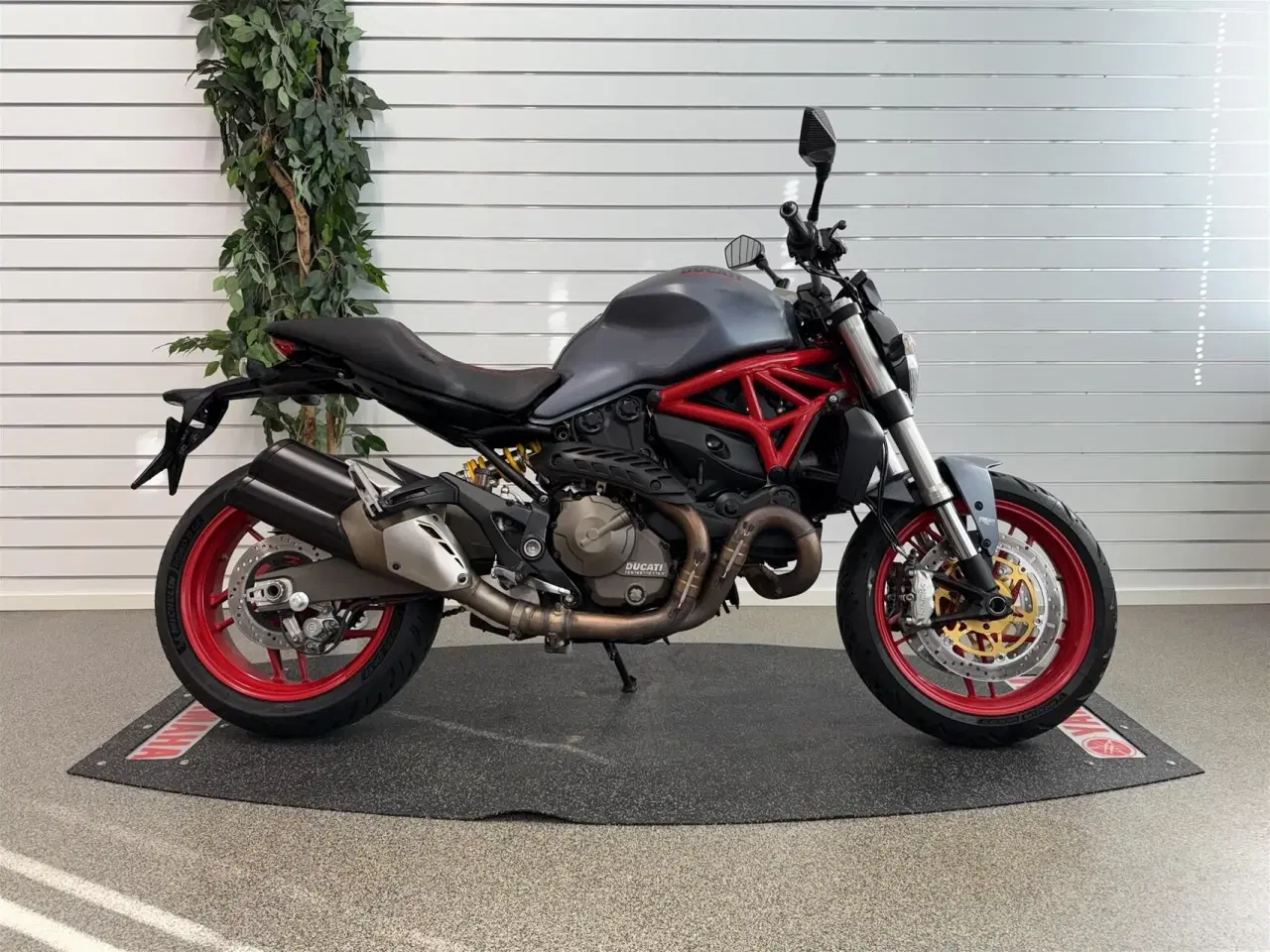 Billede 1 - Ducati Monster 821
