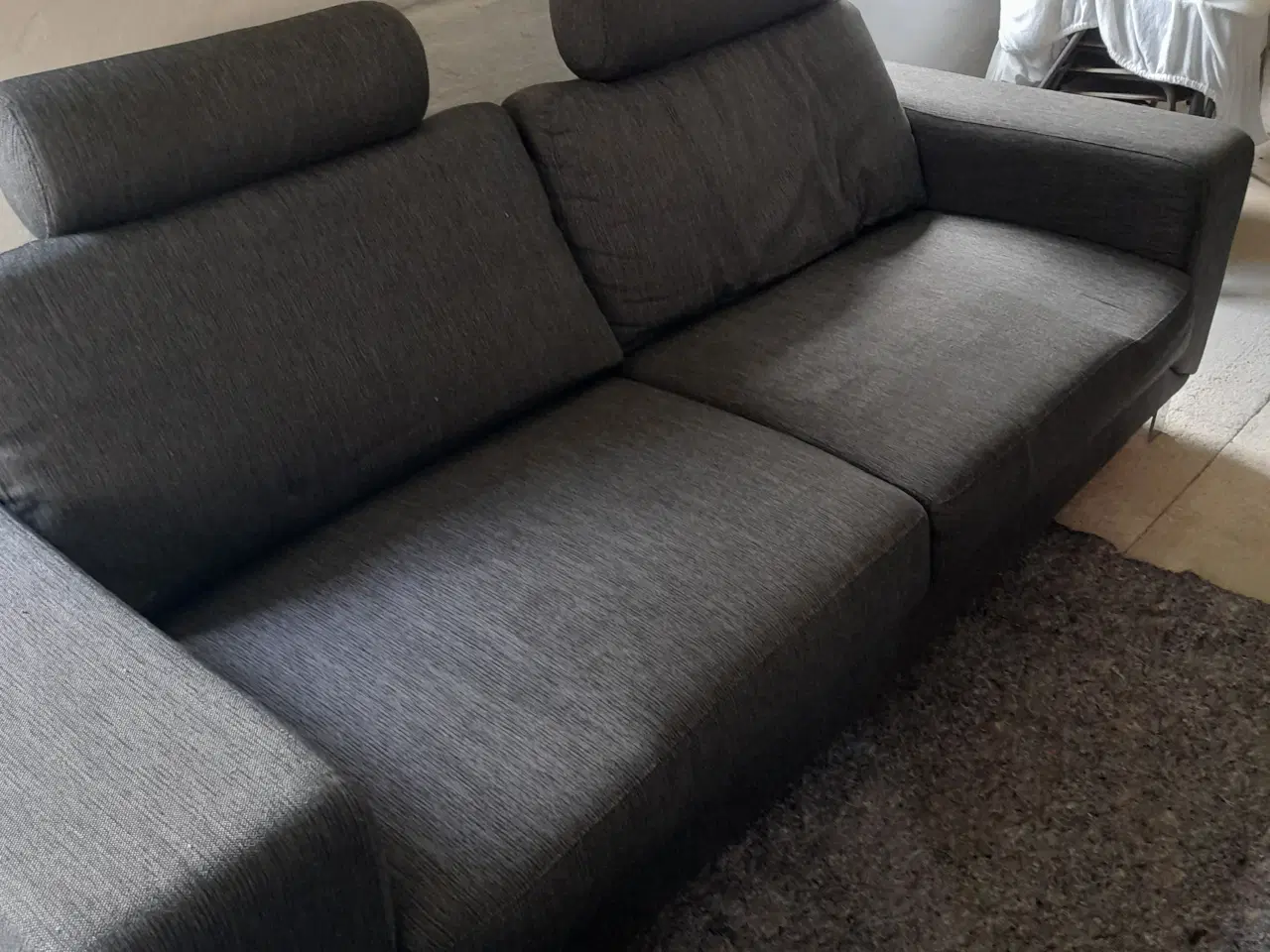 Billede 7 - Hjort knudsen