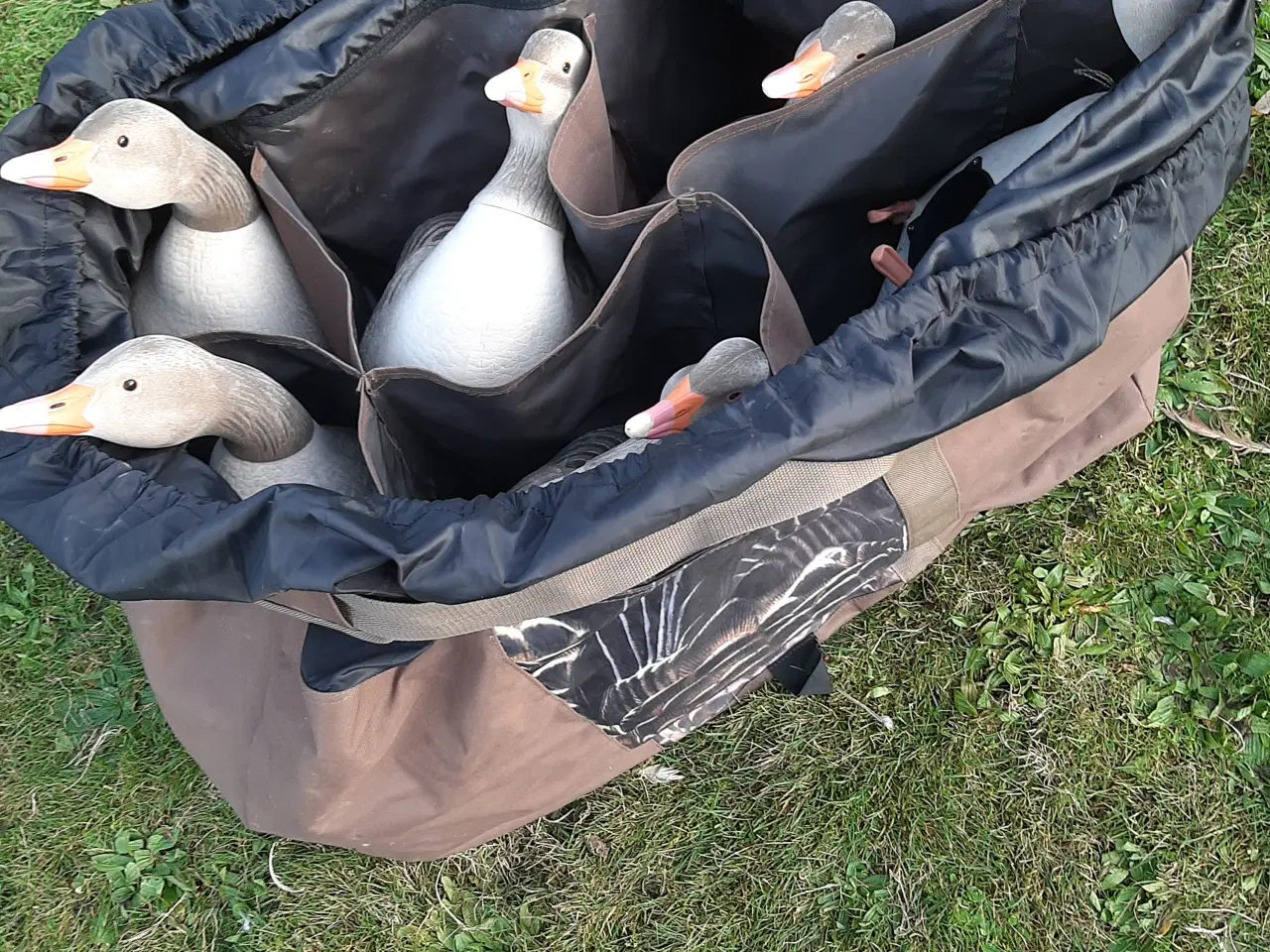 Billede 3 - Lokkegæs og trailer.