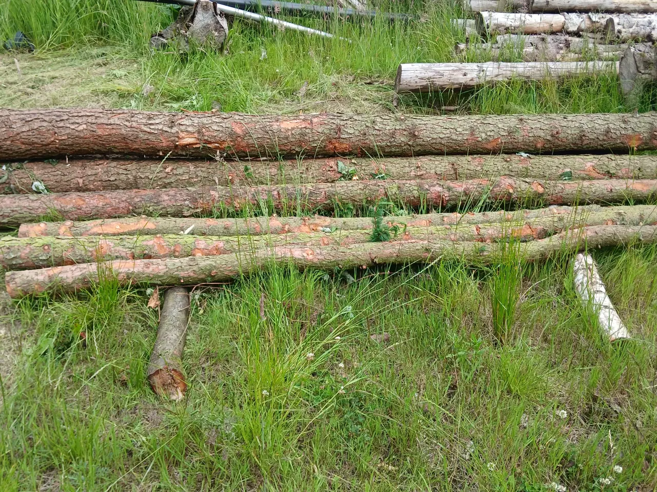 Billede 1 - Stolper / pæle af lærketræ