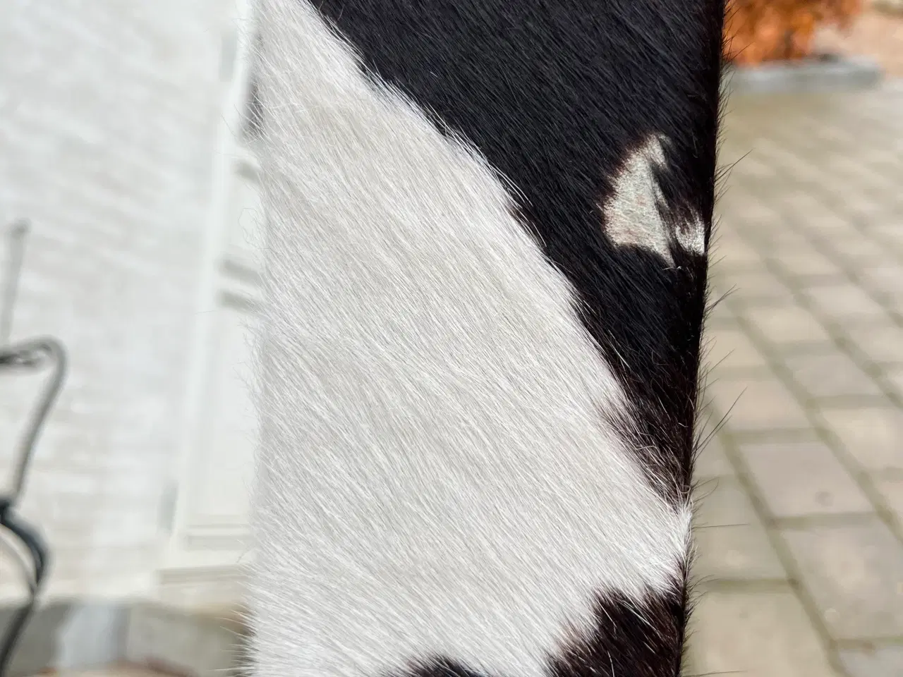 Billede 2 - Spejl med kantbetrukket koskind