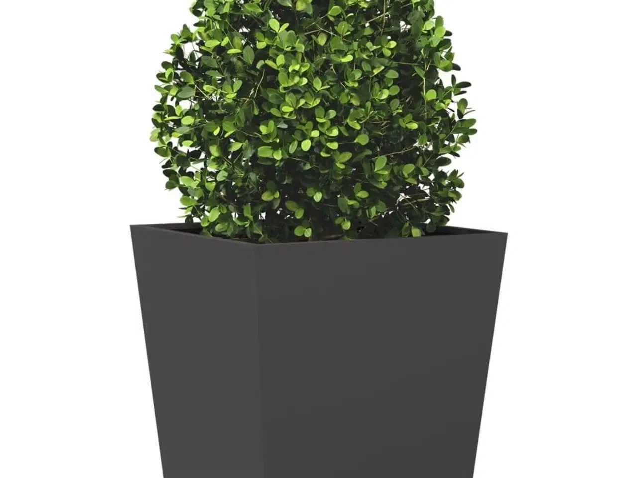 Billede 4 - Plantekrukker 2 stk. 50x50x50 cm stål sort