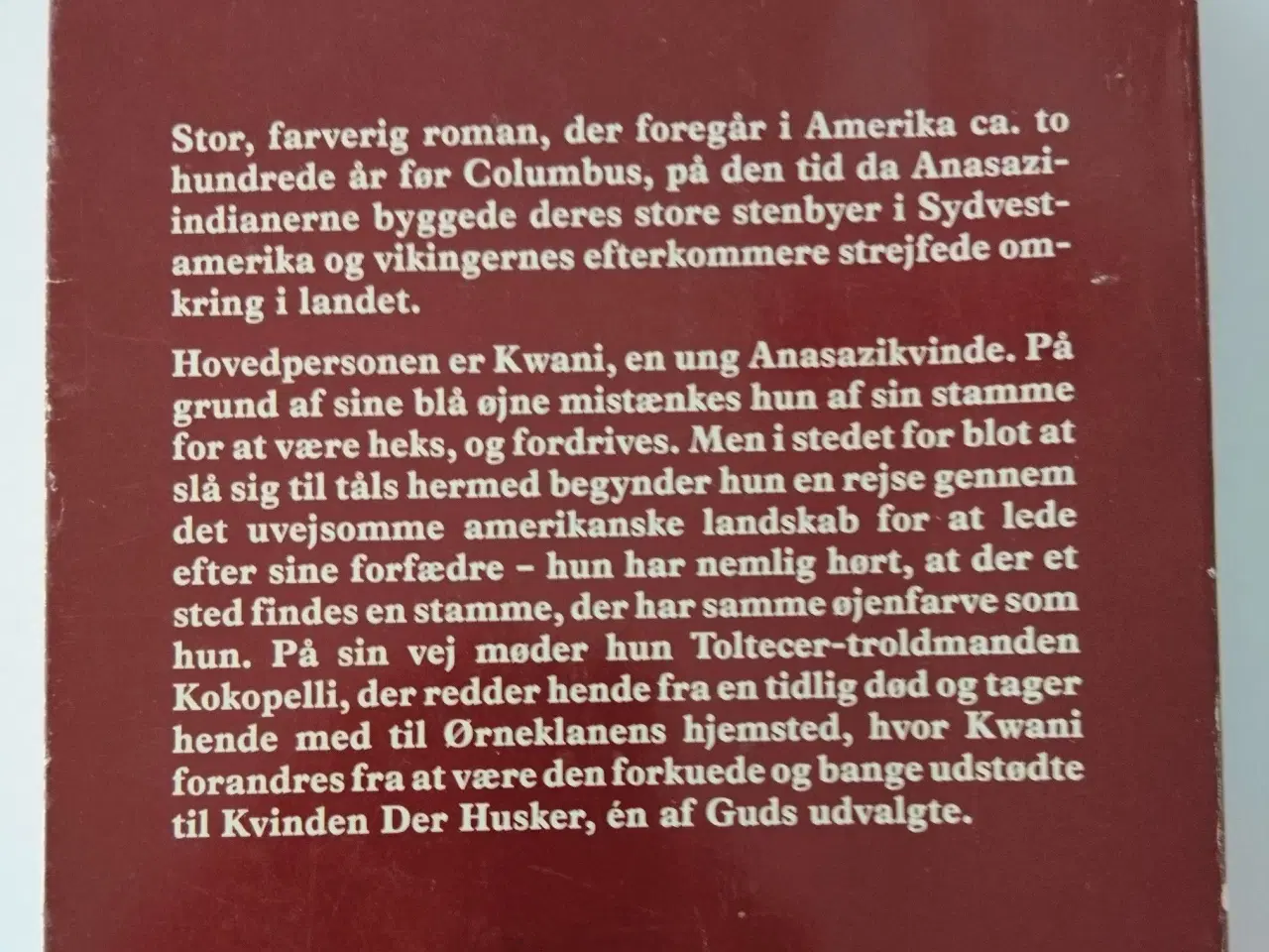 Billede 2 - Kvinden der husker. Af Linda Lay Shuler