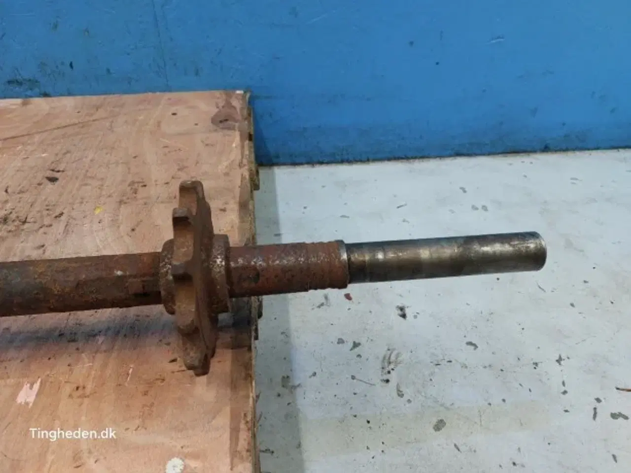 Billede 8 - Massey Ferguson 31 Aksel 28251751