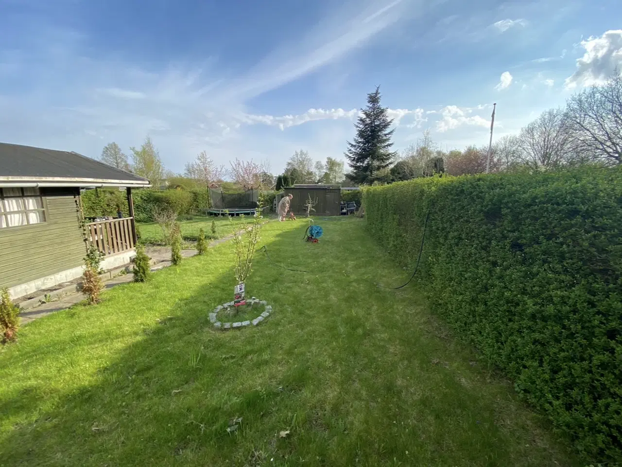 Billede 10 - Kolonihave til salg