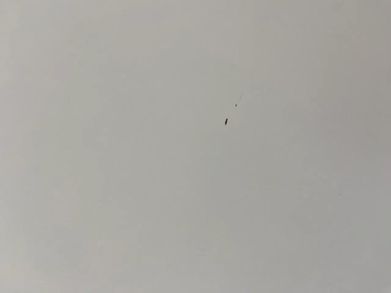 Billede 11 - Spise bord med stole