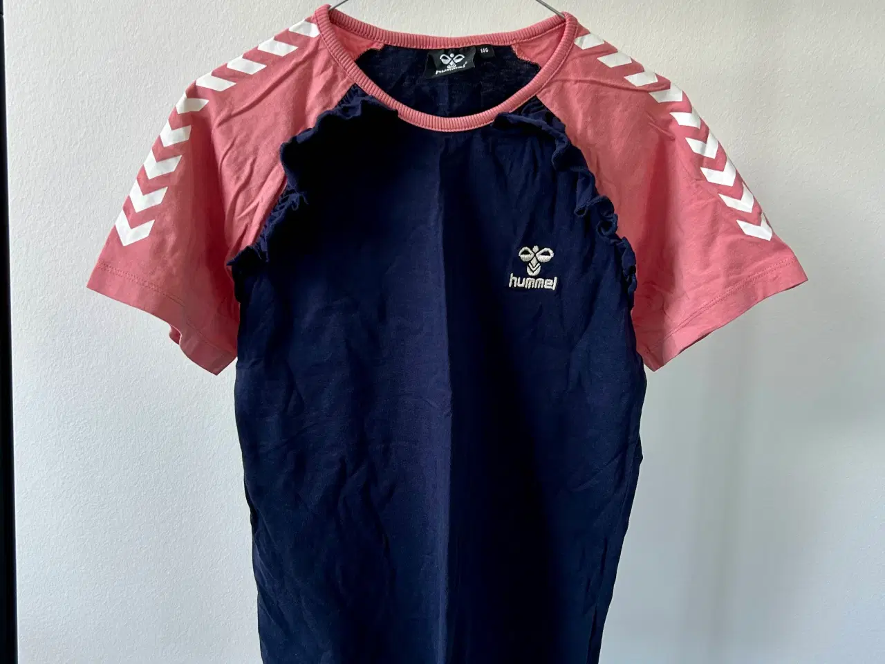 Billede 1 - hummel