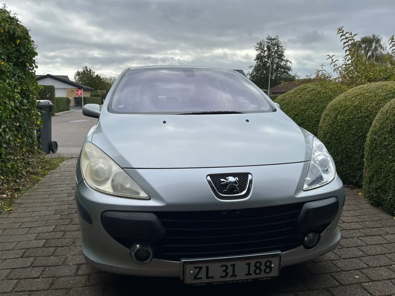 Billede 7 - Peugeot 307