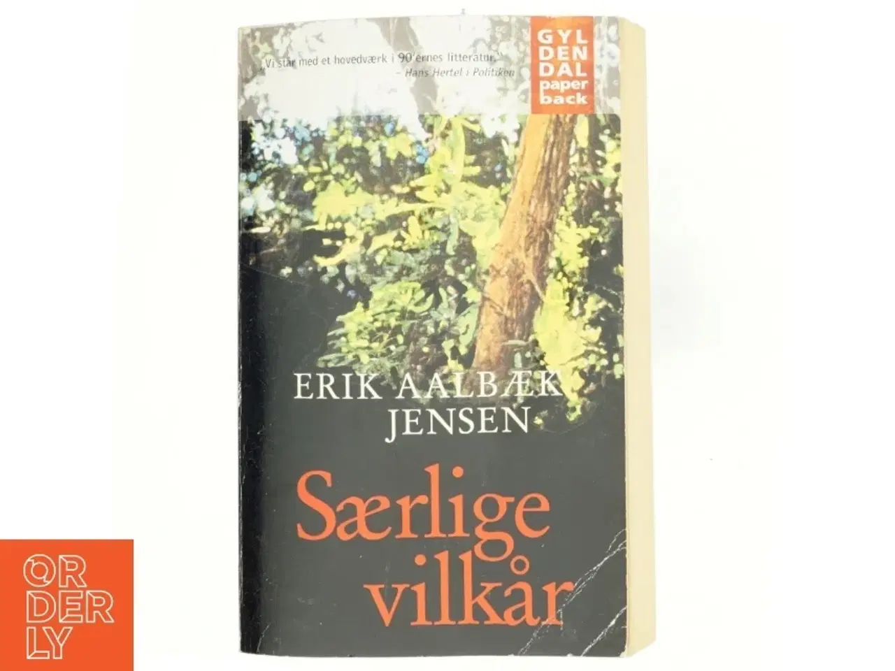 Billede 1 - Særlige vilkår : roman af Erik Aalbæk Jensen (Bog)