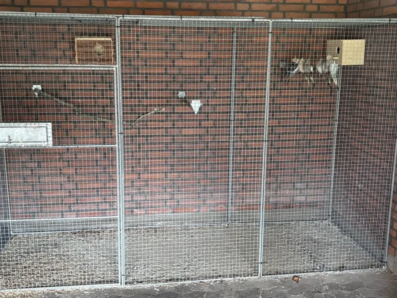 Billede 1 - Voliere 