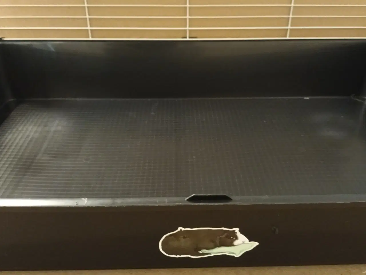 Billede 9 - Marsvinbur mm.